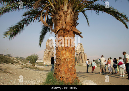 Les colosses de Memnon sont deux énormes statues de pierre du pharaon Aménophis III sur la rive ouest du Nil. Banque D'Images