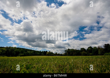 Paysage du parc avec de beaux nuages de passage Banque D'Images