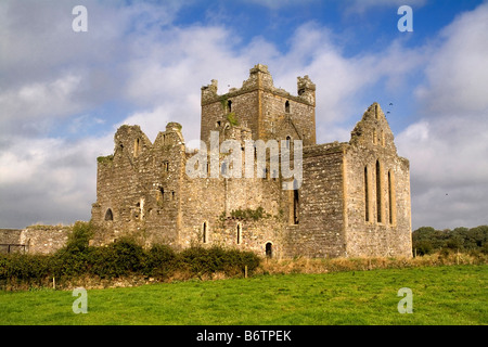 Dunbrody Abbey Co. Wexford Irlande Banque D'Images