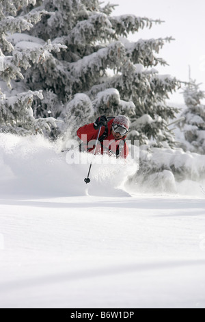 Arbre Male skier ski en poudreuse fraîche profonde alpe d huez France Banque D'Images