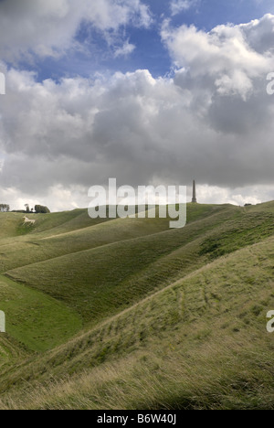 Monument à Lansdowne Vega près de la Marlborough Downs dans le Wiltshire sur un ciel nuageux. Banque D'Images