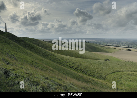 Monument à Lansdowne Vega près de la Marlborough Downs dans le Wiltshire sur un ciel nuageux. Banque D'Images