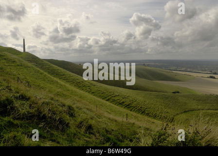 Monument à Lansdowne Vega près de la Marlborough Downs dans le Wiltshire sur un ciel nuageux. Banque D'Images