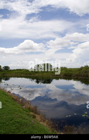 Canal dans les Everglades de Floride Banque D'Images