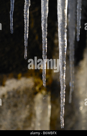 Melting icicle formations, Glenshee, Scotland Banque D'Images