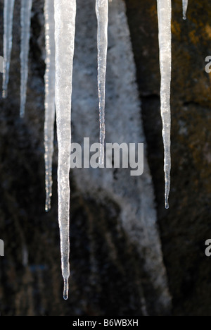 Melting icicle formations, Glenshee, Scotland Banque D'Images