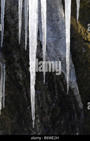 Melting icicle formations, Glenshee, Scotland Banque D'Images