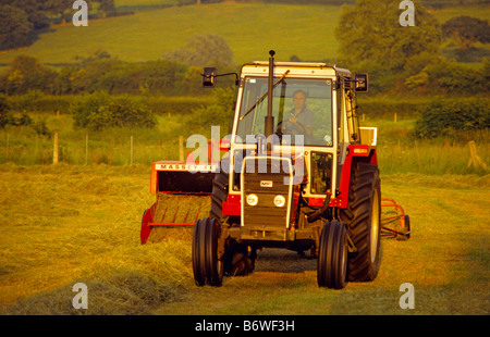 Ancien agriculteur avec tracteur Massey Ferguson 690 et 124 balles de foin, Wiltshire, Royaume-Uni. Banque D'Images