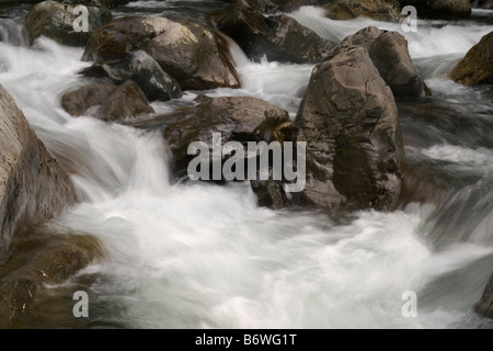 River rapids ci-dessous Twin Falls dans l'État de Washington Banque D'Images