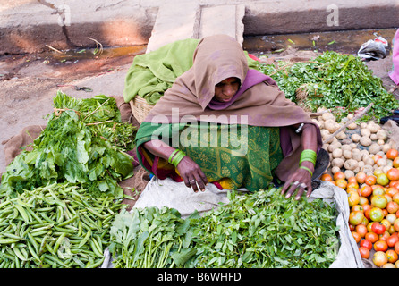 VARANASI Inde indienne en saris colorés verts trier comme elle vend des légumes dans la rue à Varanasi Banque D'Images