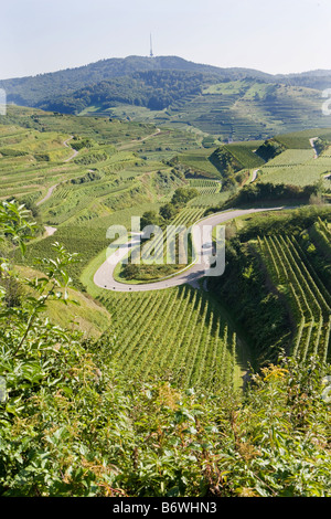 Vignobles dans les montagnes du Kaiserstuhl Banque D'Images