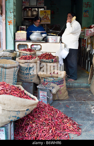 Inde JAIPUR RAJASTHAN minuscule boutique dans la zone du marché de Jaipur ancienne couleur vive la vente de piments rouges séchés et autres spice Banque D'Images