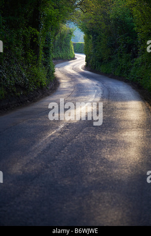 Pays courbe Route à travers la forêt épaisse Banque D'Images