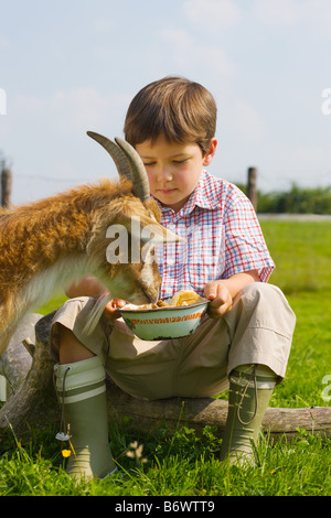 Un garçon feeding goat Banque D'Images