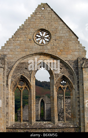 Abbaye Valle Crucis Llangollen abbaye cistercienne fondée 1201 Pays de Galles UK ruines Denbigshire Banque D'Images