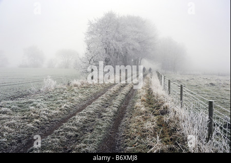 Couple walking on frosty et brumeuse d'hiver, Staffordshire, Loynton Banque D'Images