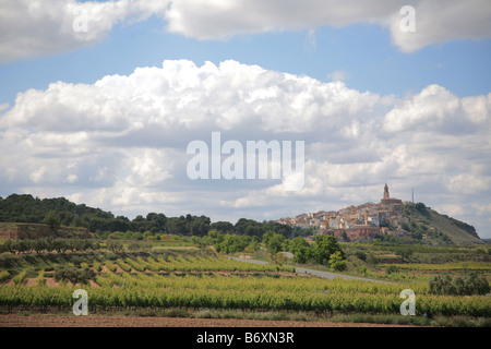 Vignes en été et village Carcar Banque D'Images