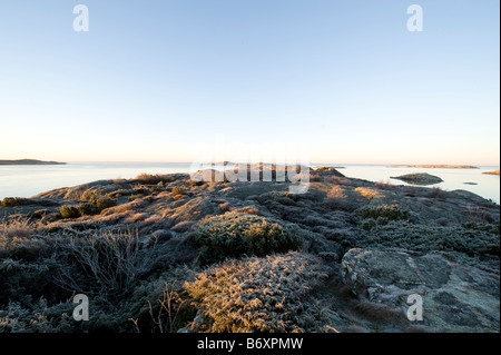 Littoral, péninsule Onsala, Suède Banque D'Images