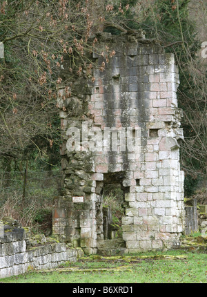 Roche de la vallée de l'abbaye près de Maltby South Yorkshire Angleterre GO UK 2008 Banque D'Images