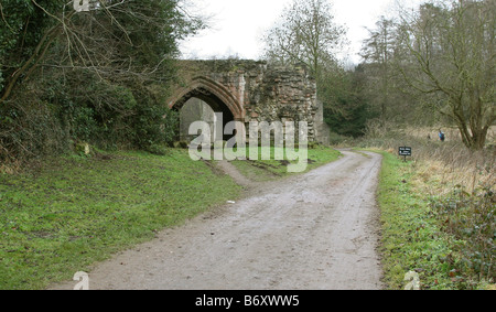 Roche de la vallée de l'abbaye près de Maltby South Yorkshire Angleterre GO UK 2008 Banque D'Images