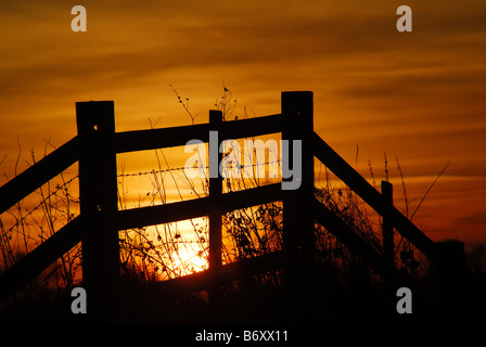 Coucher du soleil Clôture rurale. Banque D'Images