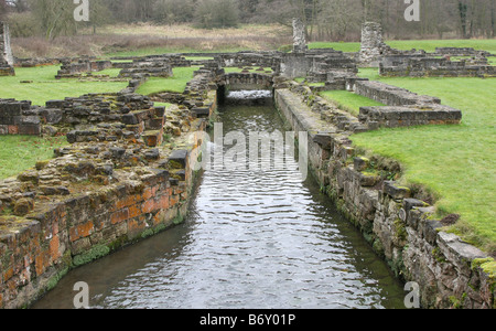 Roche de la vallée de l'abbaye près de Maltby South Yorkshire Angleterre GO UK 2008 Banque D'Images