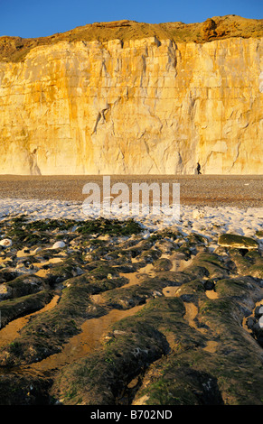 Coucher de soleil sur la falaise de craie à Newhaven west beach East Sussex Royaume Uni Banque D'Images