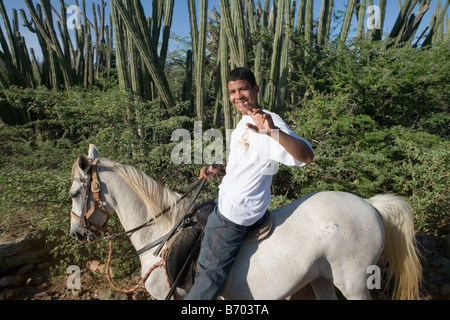 L'équitation à travers les champs de cactus, Rancho Notorious, Aruba, Antilles néerlandaises Banque D'Images