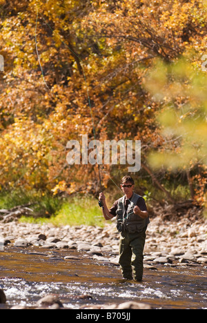 Un homme pêche à la mouche dans la cache la poudre River à l'automne près de Fort Collins, Colorado. Banque D'Images