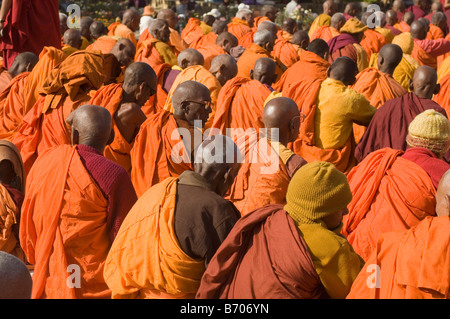 Vue arrière de moines assis, Gaya, Bihar, Inde Banque D'Images