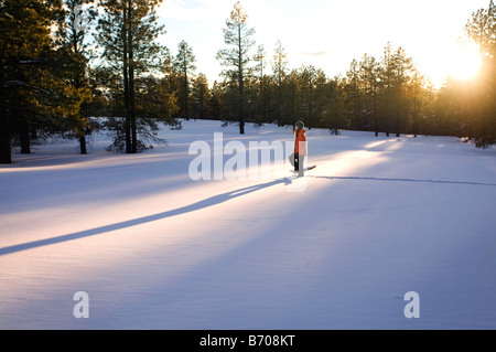 Une jeune femme en raquettes à neige fraîchement tombée au coucher du soleil dans la région de Flagstaff, Arizona. Banque D'Images