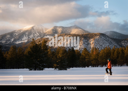 Une jeune femme en raquettes à neige fraîchement tombée au coucher du soleil dans la région de Flagstaff, Arizona. Banque D'Images