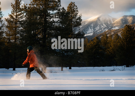 Une jeune femme en raquettes à neige fraîchement tombée au coucher du soleil dans la région de Flagstaff, Arizona. Banque D'Images