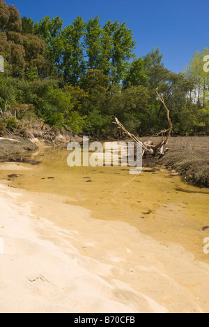 Un ruisseau sur plage de Marahau en Nouvelle Zélande Banque D'Images