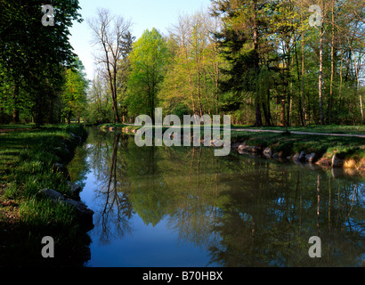 Un bras de la rivière Isar, qui coule à travers le jardin Anglais Allemagne Bavière Munich Banque D'Images
