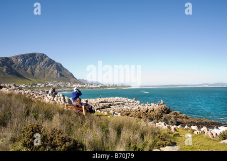 L'observation des baleines pour les baleines franches australes à Hermanus afrique du sud Banque D'Images