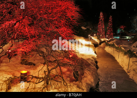 Jardin en contrebas avec des lumières de Noël dans la nuit les Jardins Butchart Victoria British Columbia Canada Banque D'Images