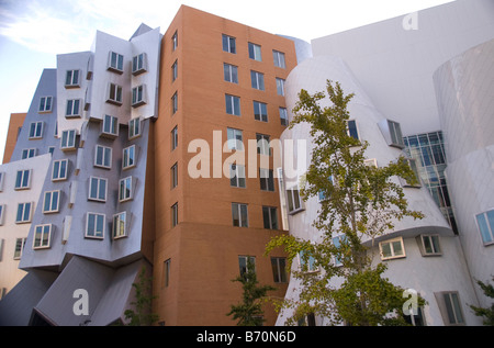 Le logiciel Stata Center, Massachusetts Institute of Technology (MIT), Cambridge, Massachusetts Banque D'Images