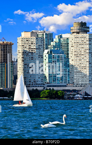 Voilier naviguant dans le port de Toronto avec vue sur front de mer pittoresque Banque D'Images