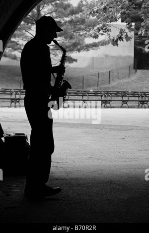 Un saxophoniste busk est dans cette image prise dans l'atmosphère dans Central Park à New York. Banque D'Images