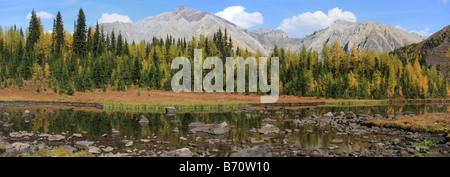 Une tarn sur la rivière Highwood Meadows sentier au col de la rivière Highwood, Kananaskis, Alberta Banque D'Images