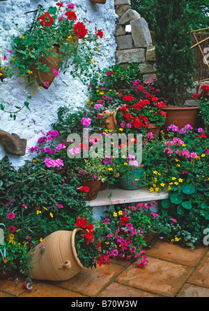 Jardin méditerranéen coloré avec des récipients plantés contre un mur peint en blanc Banque D'Images