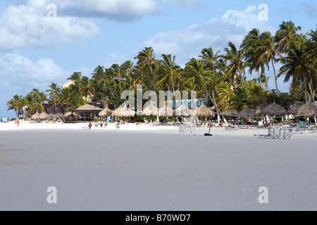 Matin sur Eagle Beach sur l'île des Caraïbes d'Aruba Banque D'Images