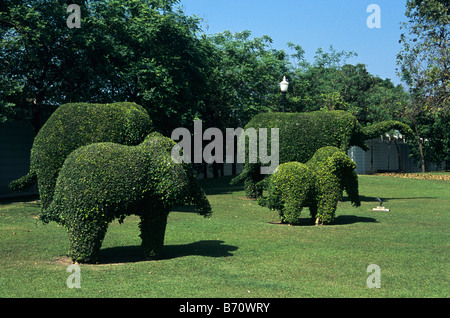 Arbustes taillés en topiaire topiaire éléphants dans le jardin, Bang Pa-In Palace (Palais Royal d'été), Thaïlande Banque D'Images