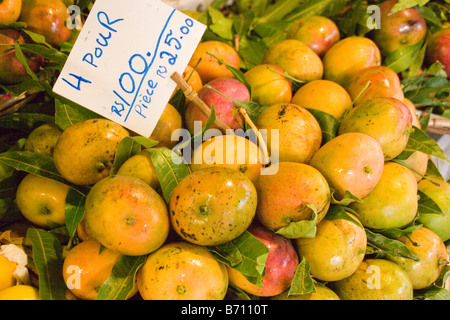 Les mangues à vendre au marché central de la ville de Port Louis, la capitale de l'Île Maurice, une île dans l'Océan Indien Banque D'Images