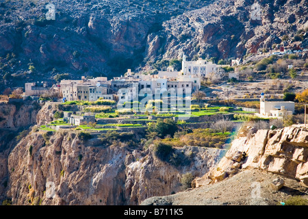 Les champs en terrasses sur les pentes du Djebel Akhdar en Oman Banque D'Images