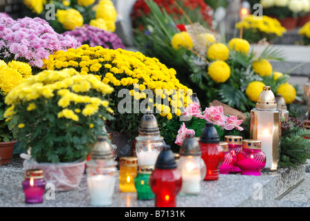 Chrysanthèmes et bougies sur Wolski cemetery à Varsovie, en Pologne au cours de la Toussaint Banque D'Images