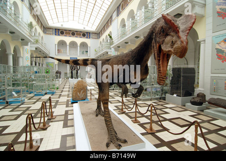 Modèle de Dilophosaurus wetherilli de dinosaures du Jurassique précoce Banque D'Images
