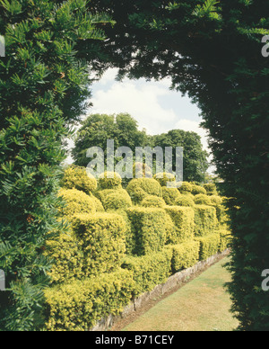 Vue à l'arch en if haie d'if topiaire clippé en grande couverture country garden Banque D'Images