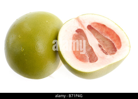 "Pomelo Citrus maxima' 'Citrus grandis' Banque D'Images